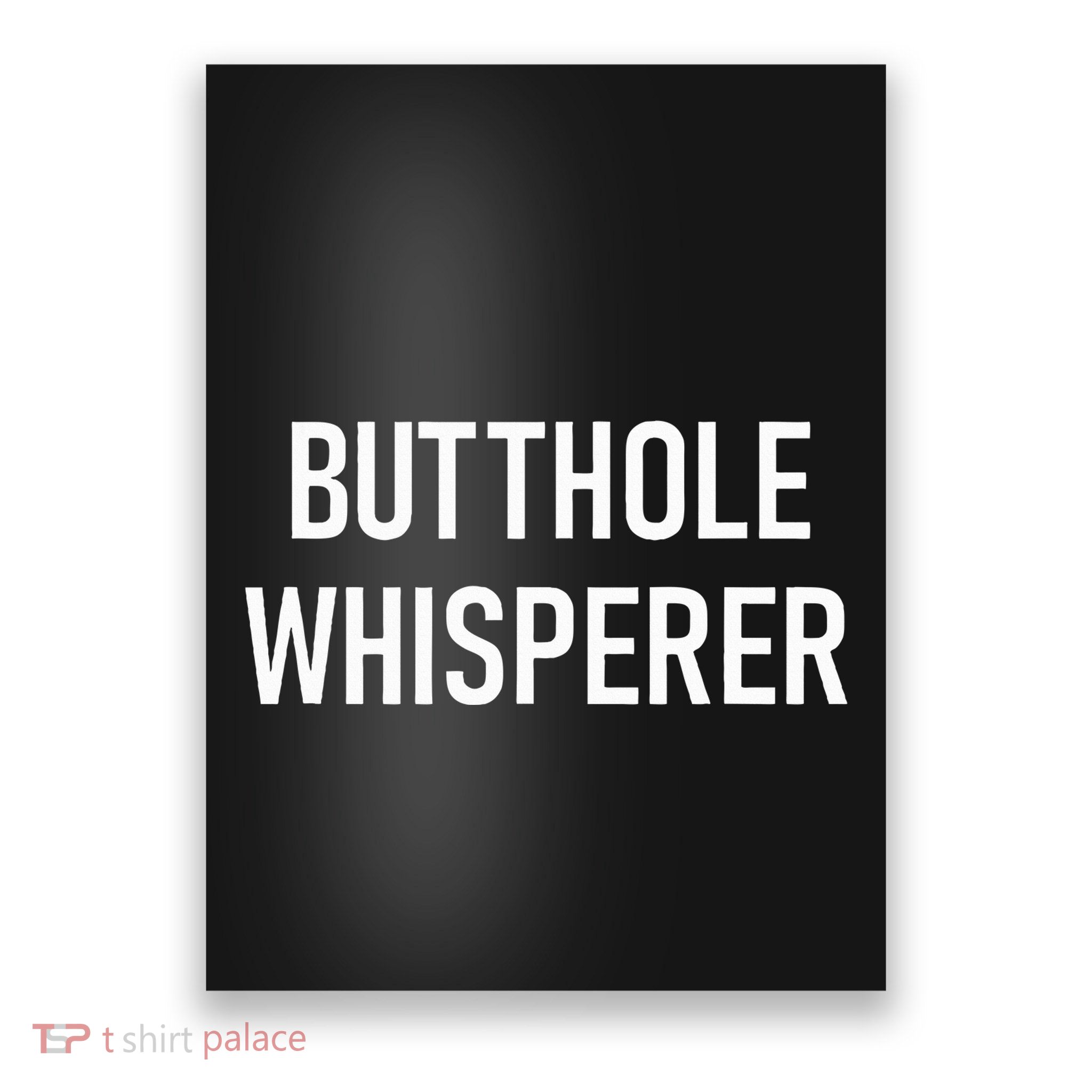 Butthole Whisperer Funny Jokes Sarcastic Poster