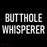 Butthole Whisperer Funny Jokes Sarcastic Poster