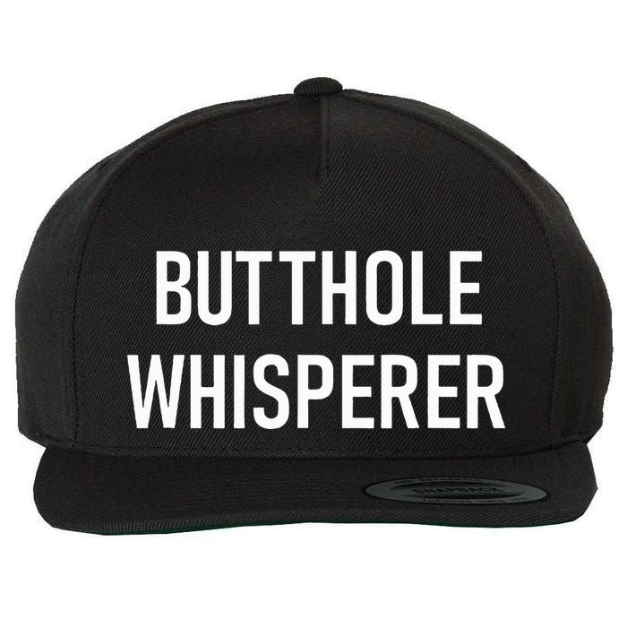Butthole Whisperer Funny Jokes Sarcastic Wool Snapback Cap
