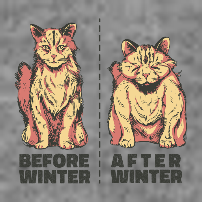 Before Winter Funny Cat Wool Snapback Cap