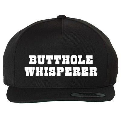 Butthole Whisperer Funny Jokes Sarcastic Wool Snapback Cap