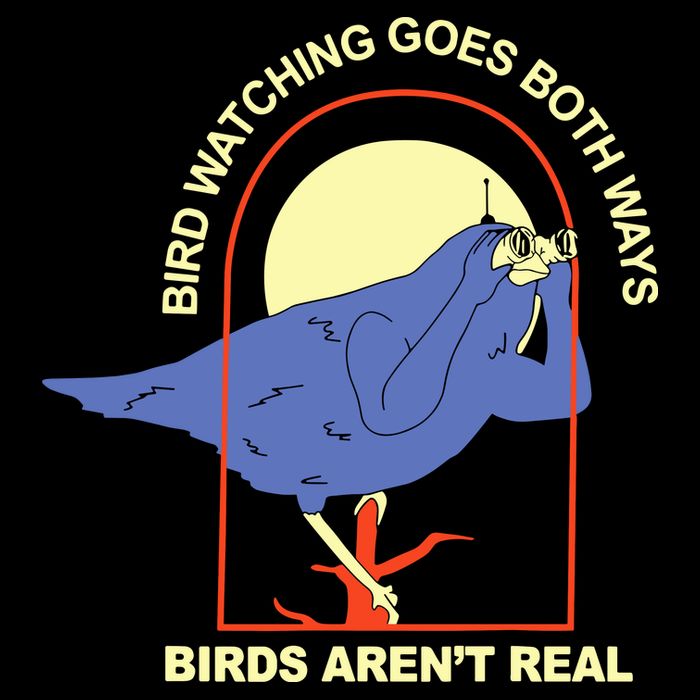 Bird Watching Goes Both Ways Bird Aren’T Real Backpack