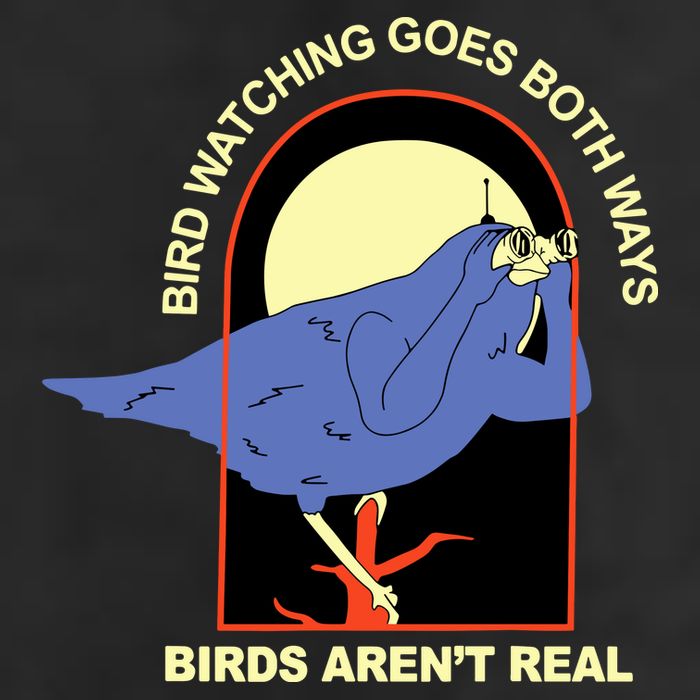 Bird Watching Goes Both Ways Bird Aren’T Real 25L Jumbo Tote