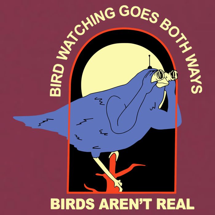 Bird Watching Goes Both Ways Bird Aren’T Real 16oz Travel Tumbler