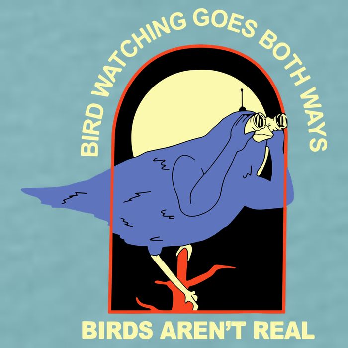 Bird Watching Goes Both Ways Bird Aren’T Real Sueded Cloud Jersey T-Shirt