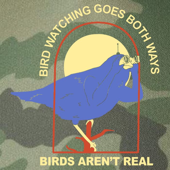 Bird Watching Goes Both Ways Birds Aren't Real Legacy Tie Dye Trucker Hat
