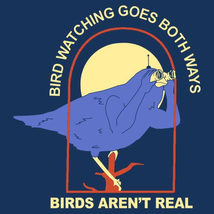 Bird Watching Goes Both Ways Birds Aren't Real Bucket Hat