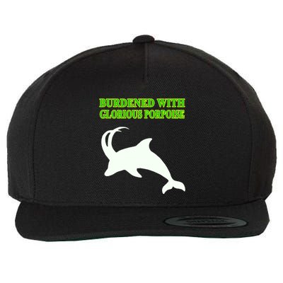 Burdened With Glorious Porpoise Wool Snapback Cap