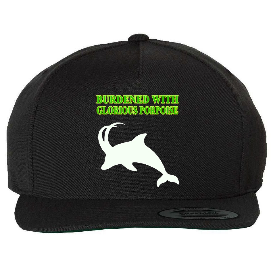 Burdened With Glorious Porpoise Wool Snapback Cap