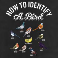 Bird Watcher How To Identify A Bird Unique Birder Trucker Hat
