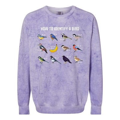 Bird Watcher How To Identify A Bird Unique Birder Colorblast Crewneck Sweatshirt