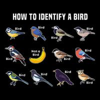 Bird Watcher How To Identify A Bird Unique Birder Poster