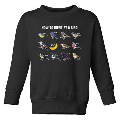 Bird Watcher How To Identify A Bird Unique Birder Toddler Sweatshirt