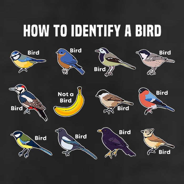 Bird Watcher How To Identify A Bird Unique Birder Trucker Hat