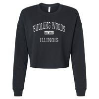 Budlong Woods Illinois Chicago Il Vintage Cropped Pullover Crew