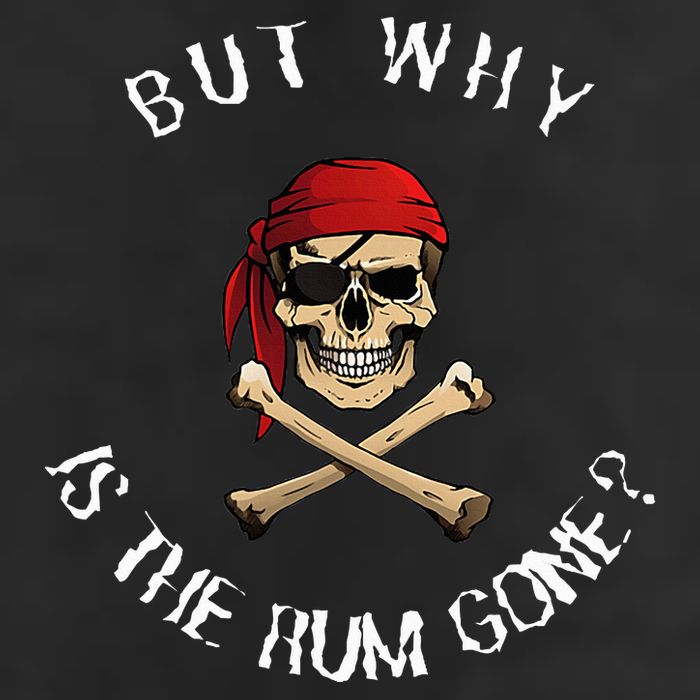 But Why Is The Rum Gone Humorous Pirate Quote Premium Pullover Hoodie