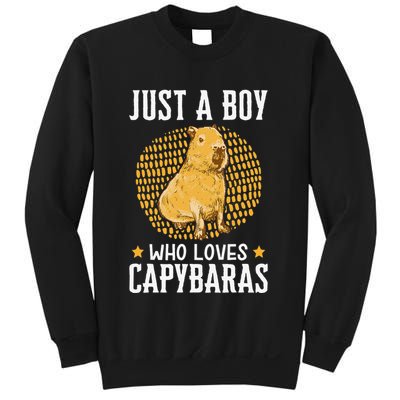 Boy who loves Capybaras South American Capybara  Sweatshirt