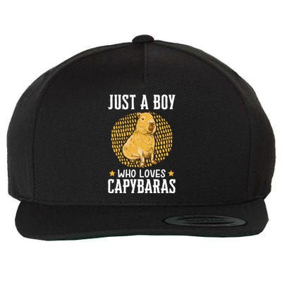 Boy who loves Capybaras South American Capybara  Wool Snapback Cap