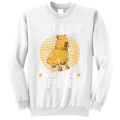 Boy who loves Capybaras South American Capybara  Sweatshirt