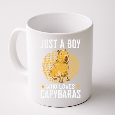 Boy who loves Capybaras South American Capybara  Mug