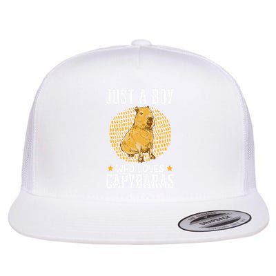 Boy who loves Capybaras South American Capybara  Flatbill Hat