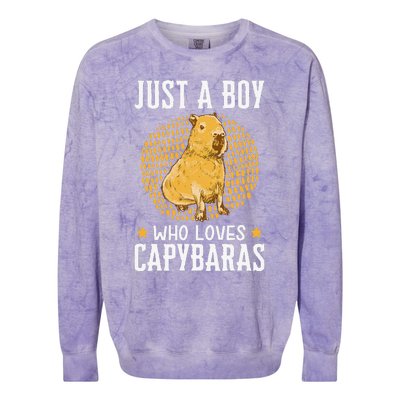 Boy who loves Capybaras South American Capybara  Colorblast Crewneck Sweatshirt