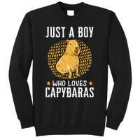 Boy who loves Capybaras South American Capybara  Sweatshirt