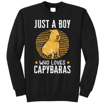 Boy who loves Capybaras South American Capybara  Sweatshirt