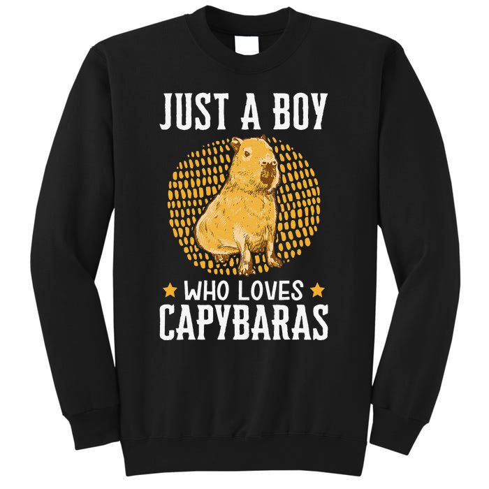 Boy who loves Capybaras South American Capybara  Sweatshirt