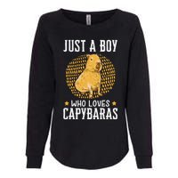 Boy who loves Capybaras South American Capybara  Womens California Wash Sweatshirt