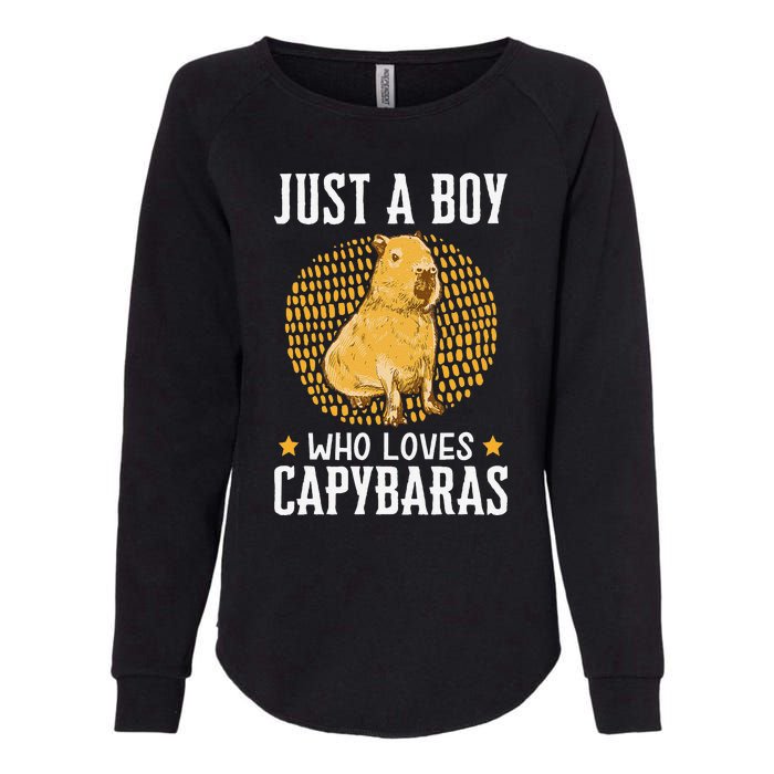 Boy who loves Capybaras South American Capybara  Womens California Wash Sweatshirt