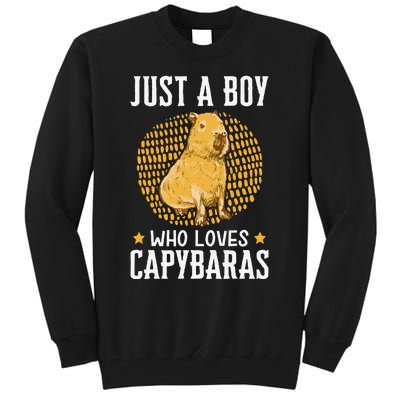 Boy who loves Capybaras South American Capybara  Tall Sweatshirt