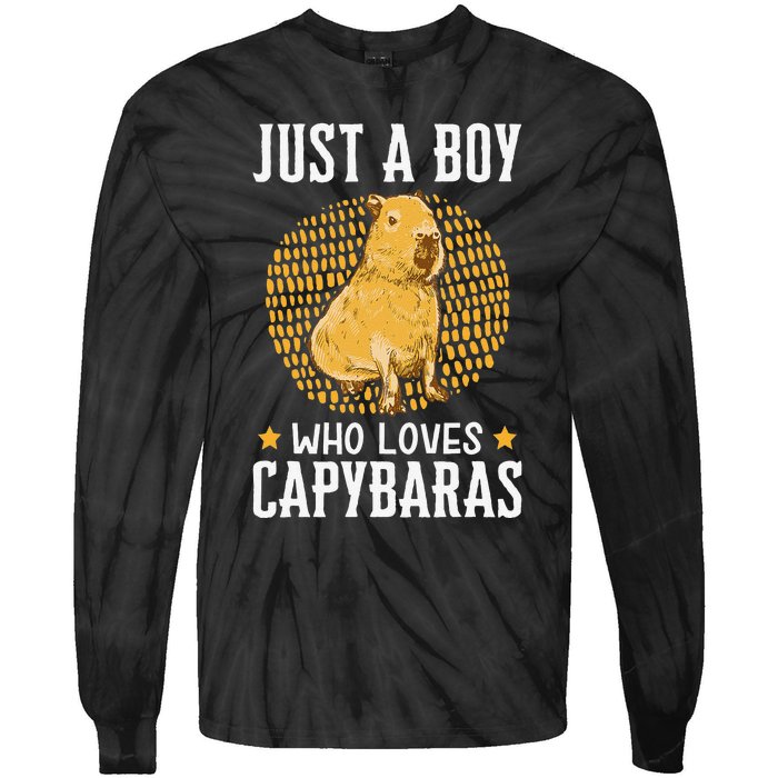 Boy who loves Capybaras South American Capybara  Tie-Dye Long Sleeve Shirt