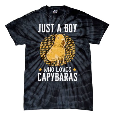 Boy who loves Capybaras South American Capybara  Tie-Dye T-Shirt