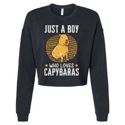 Boy who loves Capybaras South American Capybara  Cropped Pullover Crew