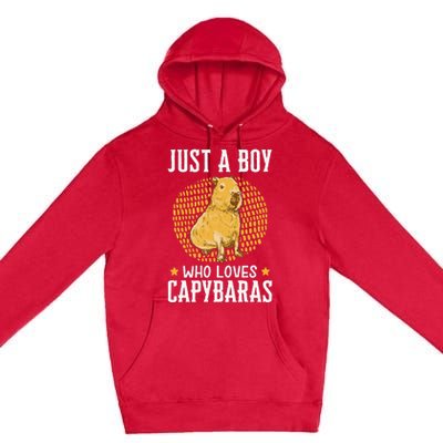 Boy who loves Capybaras South American Capybara  Premium Pullover Hoodie