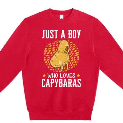 Boy who loves Capybaras South American Capybara  Premium Crewneck Sweatshirt