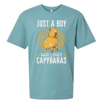 Boy who loves Capybaras South American Capybara  Sueded Cloud Jersey T-Shirt