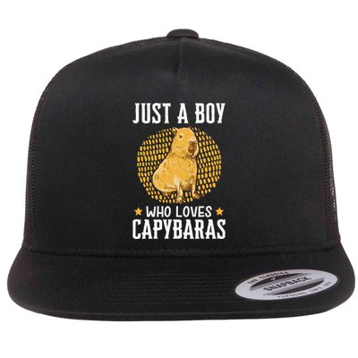 Boy who loves Capybaras South American Capybara  Flatbill Hat