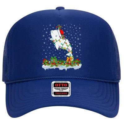 Beluga Whale Lover Xmas Lights Santa Beluga Whale Christmas Gift High Crown Mesh Back Trucker Hat