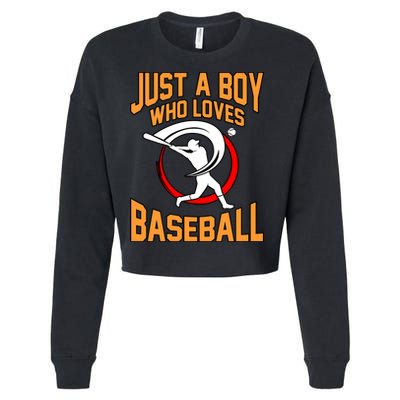 Boy Who Loves Baseball Sports Player Lover Coach Graphic Gift Cropped Pullover Crew