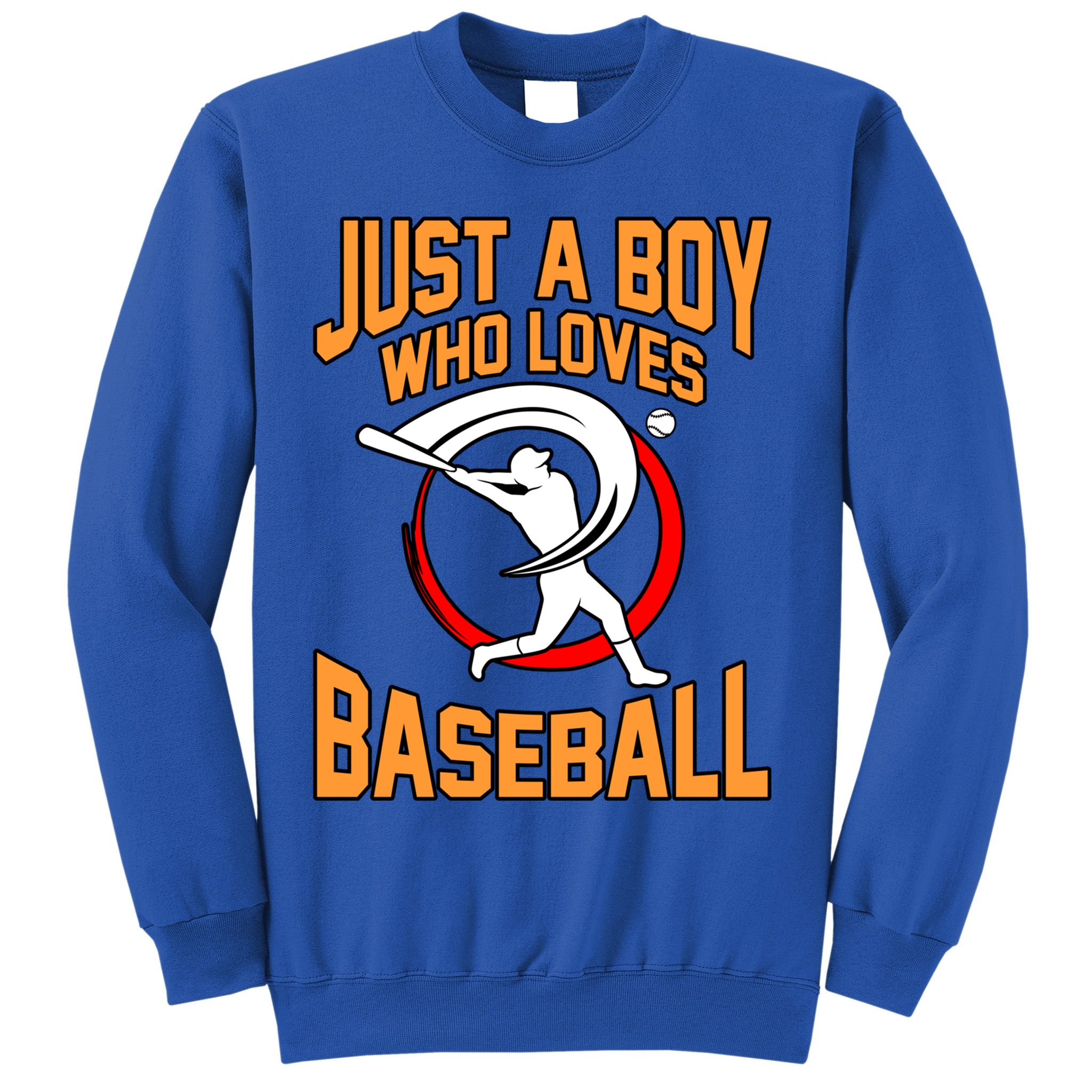 Boy Who Loves Baseball Sports Player Lover Coach Graphic Gift Sweatshirt