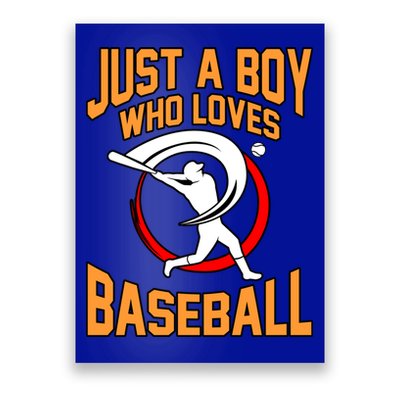 Boy Who Loves Baseball Sports Player Lover Coach Graphic Gift Poster