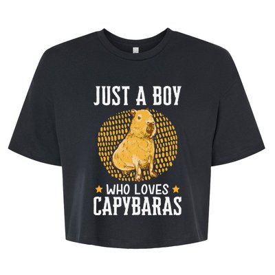 Boy who loves Capybaras South American Capybara  Bella+Canvas Jersey Crop Tee