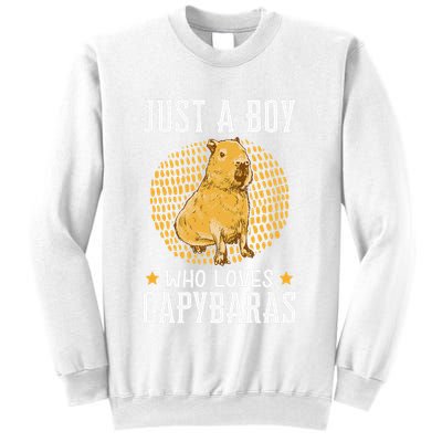 Boy who loves Capybaras South American Capybara  Sweatshirt