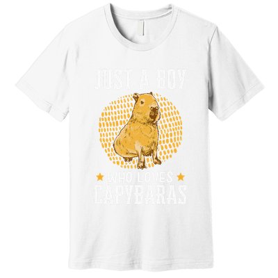 Boy who loves Capybaras South American Capybara  Premium T-Shirt
