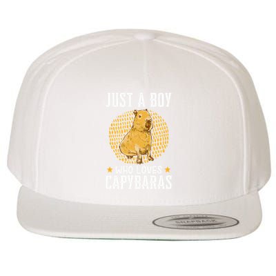Boy who loves Capybaras South American Capybara  Wool Snapback Cap