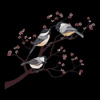 Bird Watching Nature Animal Vintage Blossom Chickadee Doggie Tank