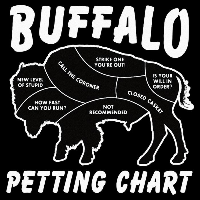 Buffalo Wildlife Petting Chart For Bison Lovers Sustainable Bucket Hat