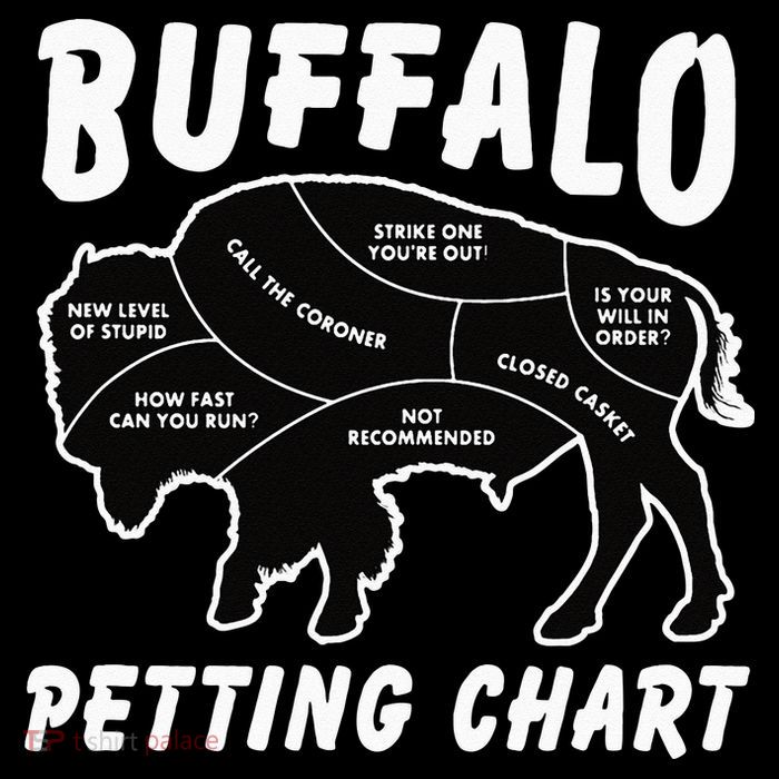Buffalo Wildlife Petting Chart For Bison Lovers Button